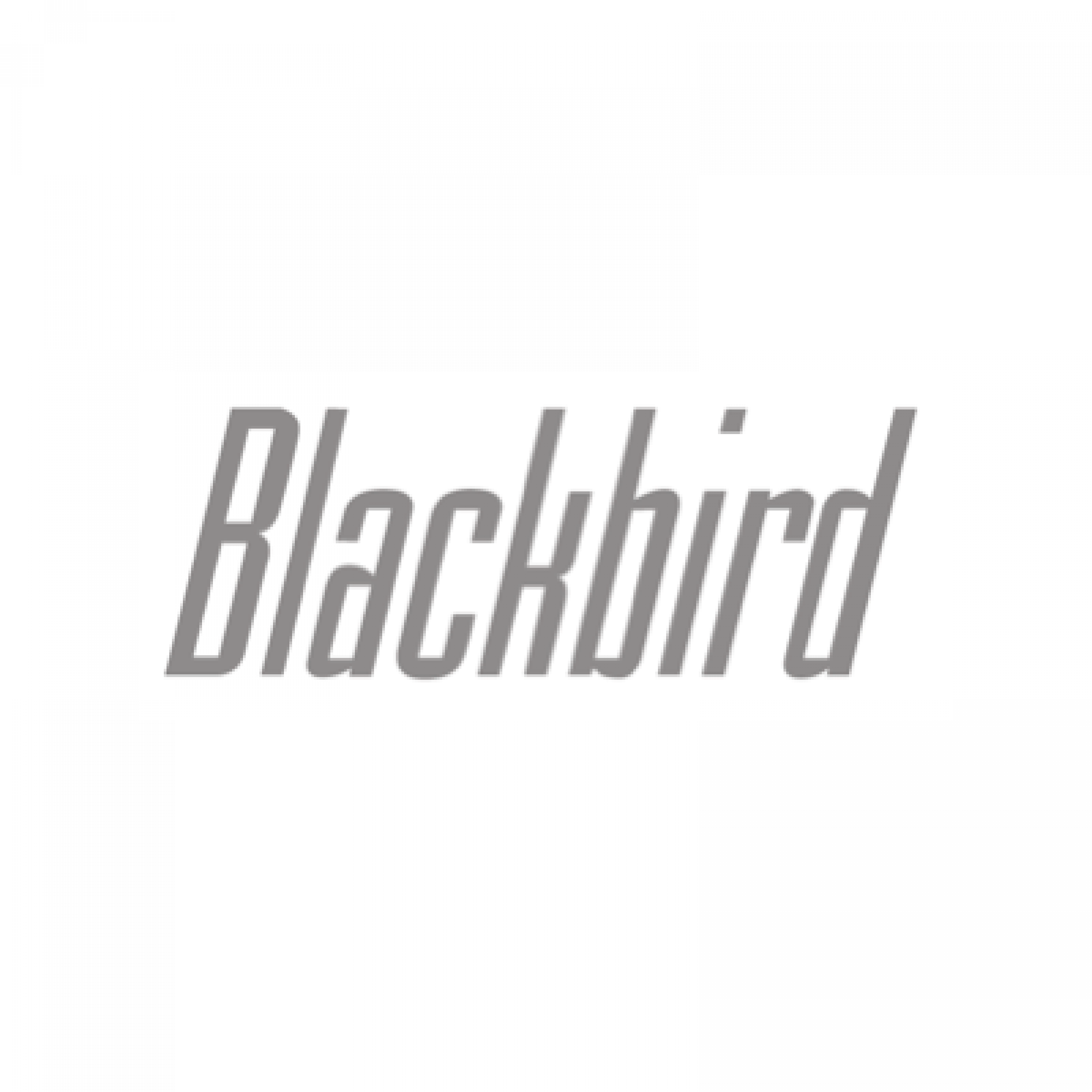 Blackbird squashed